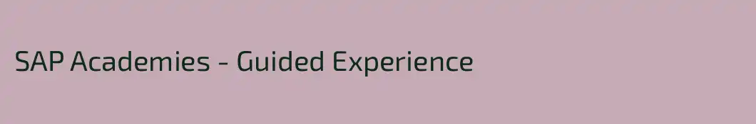SAP Academies - Guided Experience